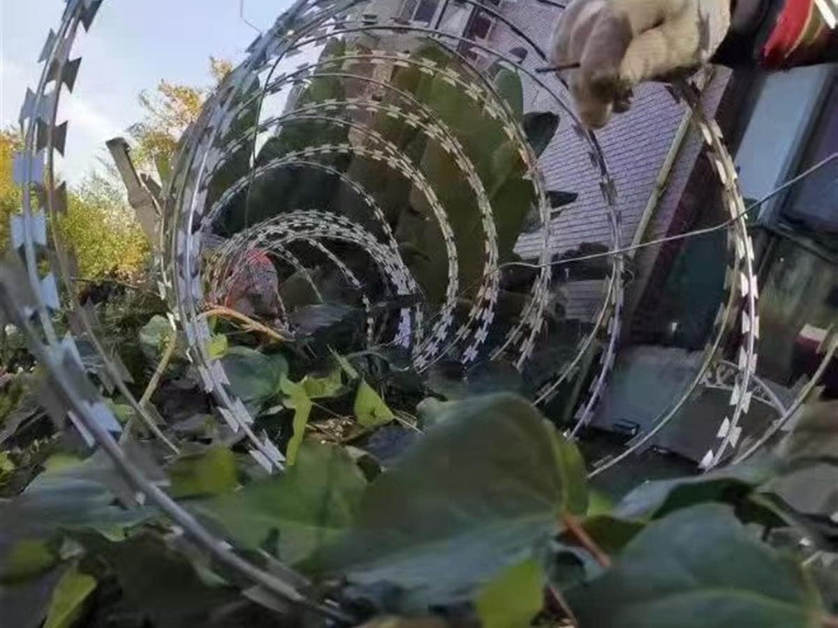 Flat-wrap razor wire stretched along a fence line above the mesh panel (thumbnail 2)